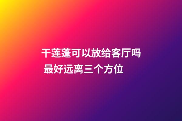 干莲蓬可以放给客厅吗 最好远离三个方位